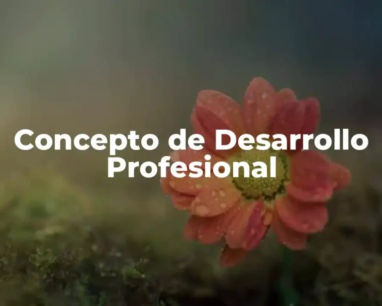 Concepto de Desarrollo Profesional