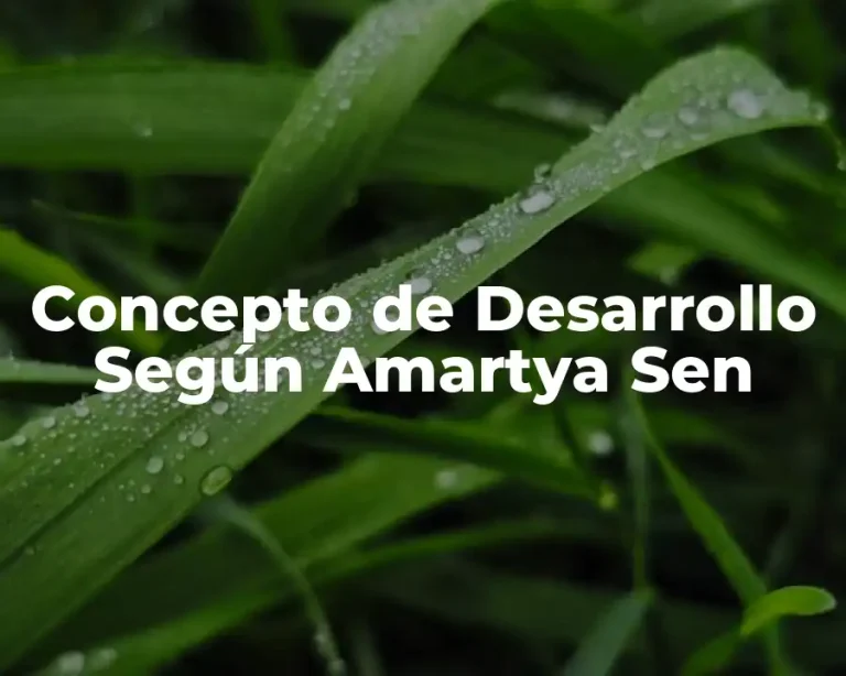 Concepto de Desarrollo Según Amartya Sen