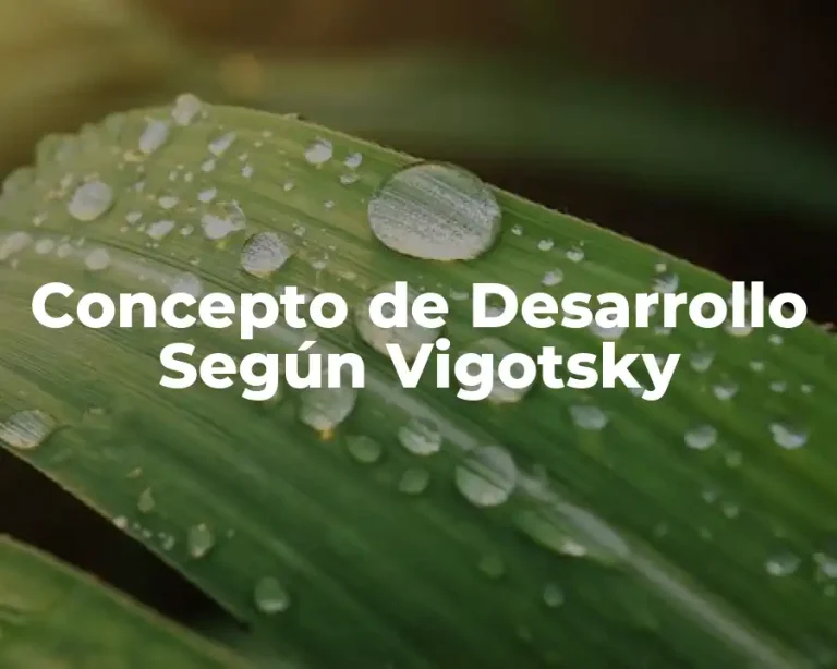 Concepto de Desarrollo Según Vigotsky