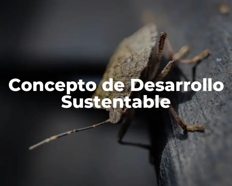 Concepto de Desarrollo Sustentable