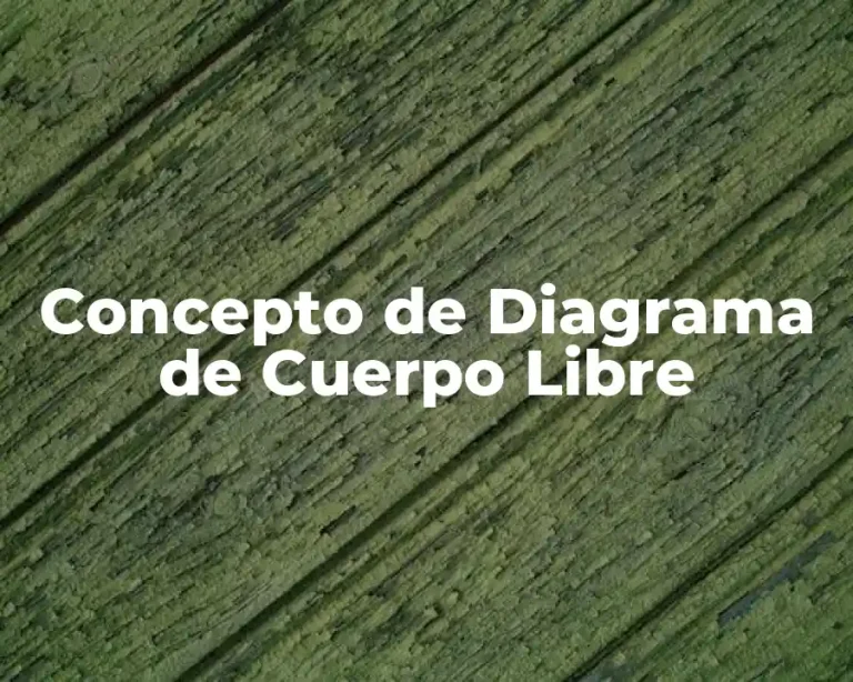 Concepto de Diagrama de Cuerpo Libre