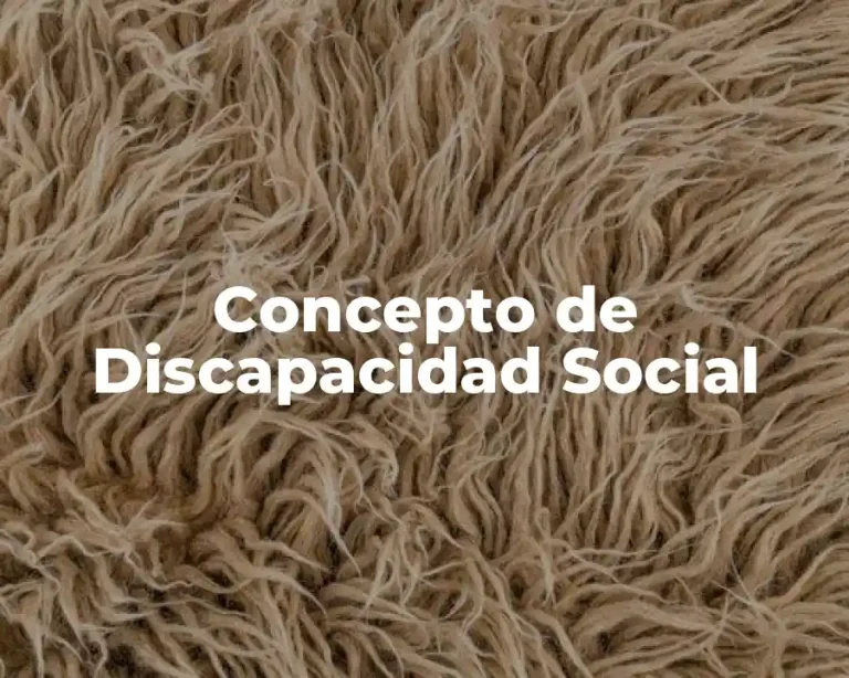 Concepto de Discapacidad Social