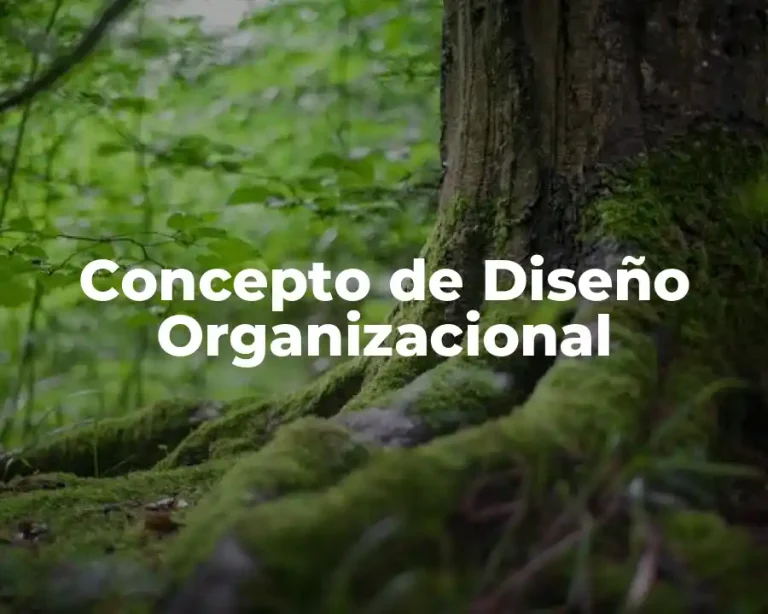 Concepto de Diseño Organizacional
