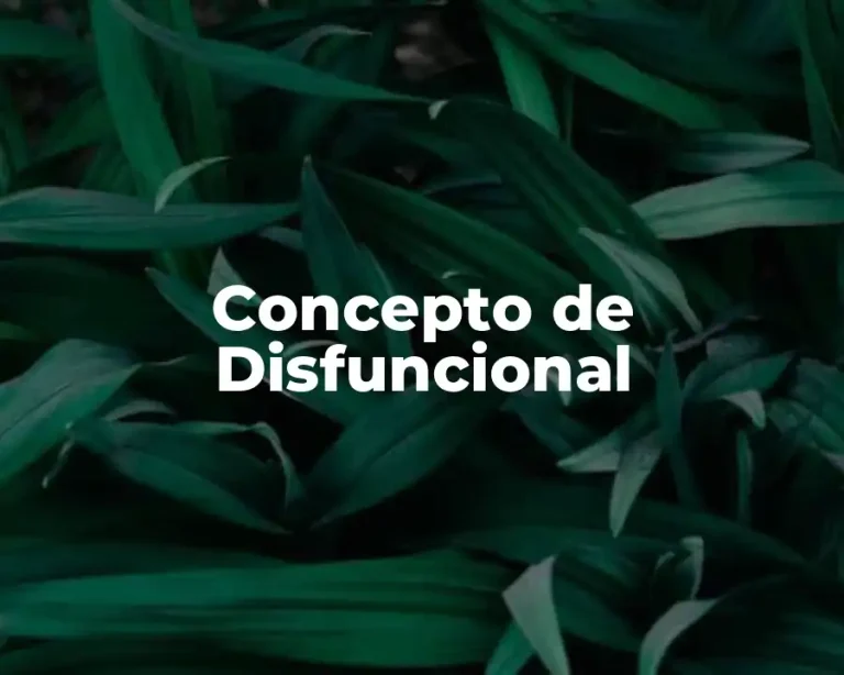 Concepto de Disfuncional