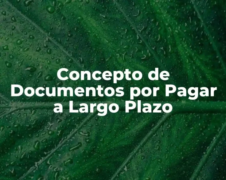 Concepto de Documentos por Pagar a Largo Plazo