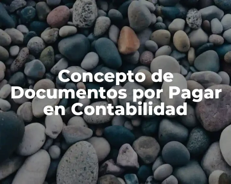 Concepto de Documentos por Pagar en Contabilidad