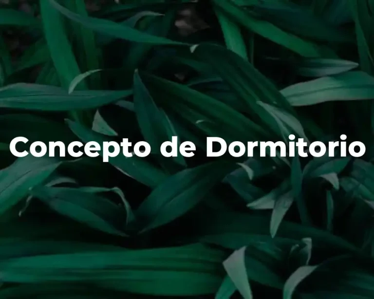 Concepto de Dormitorio