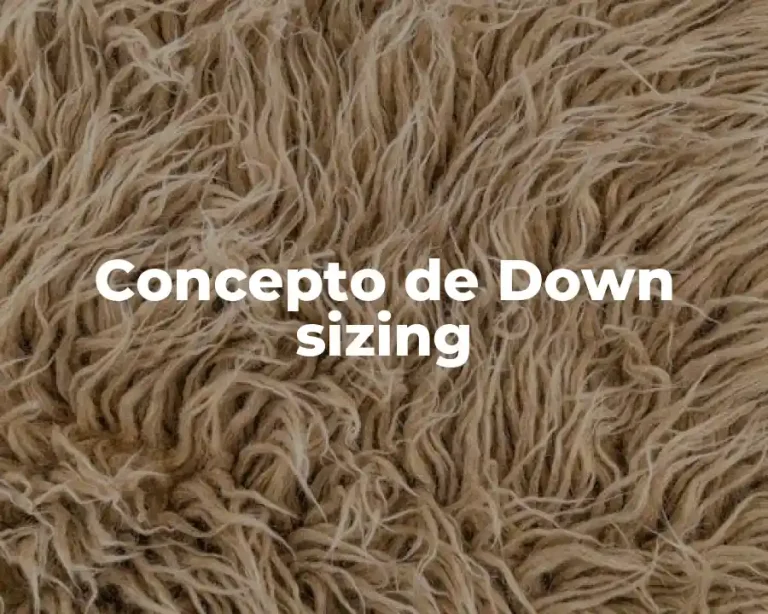 Concepto de Down sizing