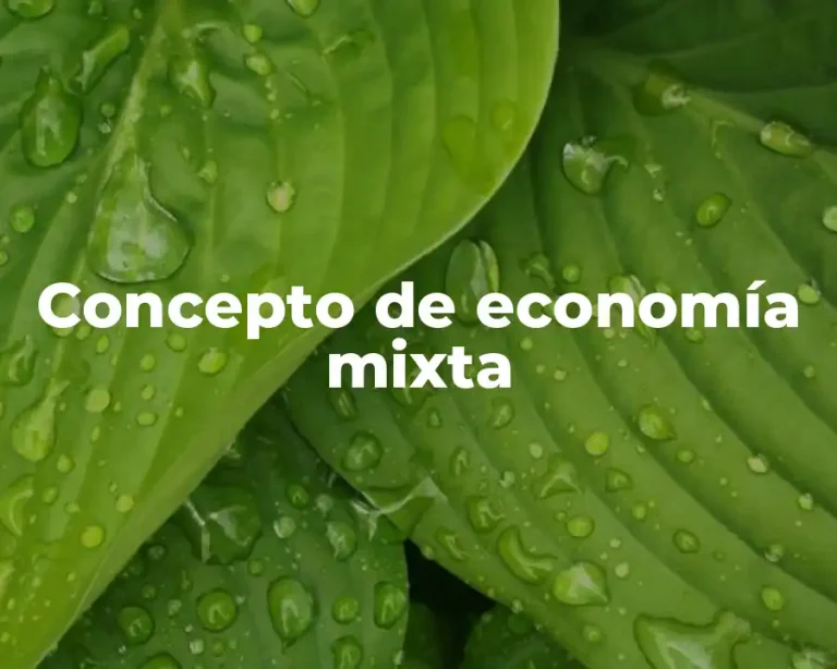 Concepto de economía mixta