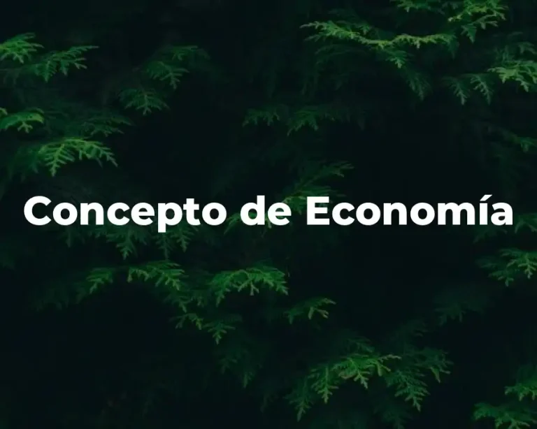 Concepto de Economía