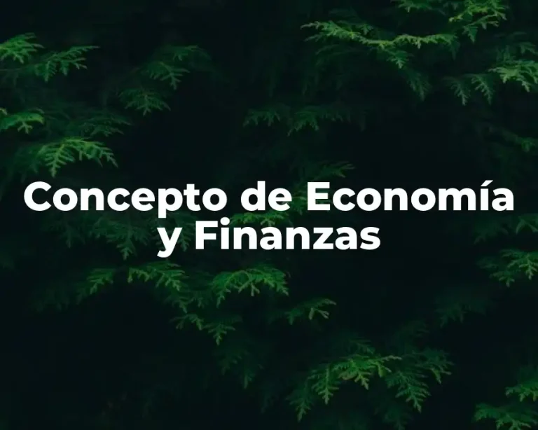 Concepto de Economía y Finanzas