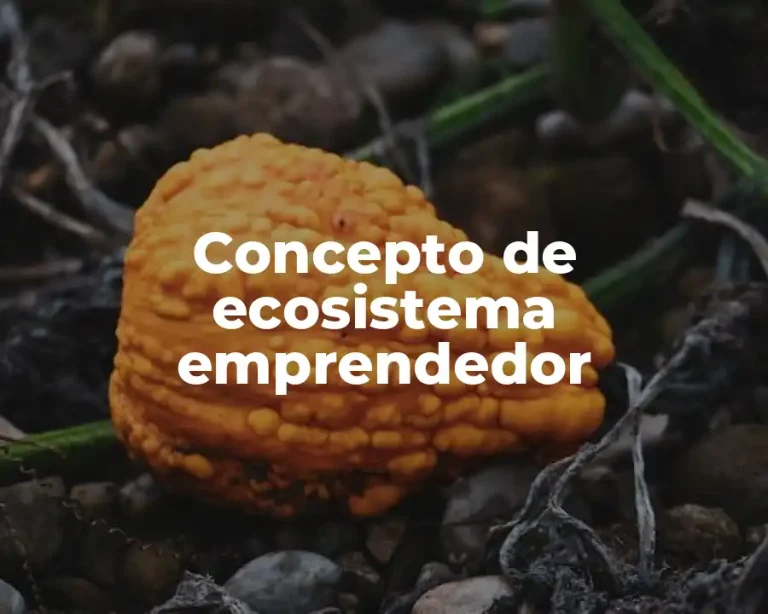 Concepto de ecosistema emprendedor