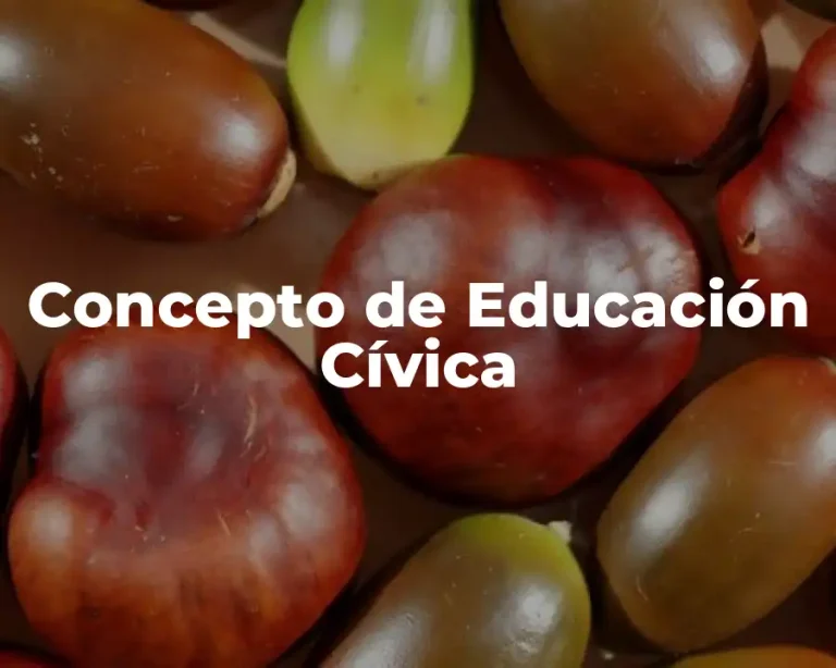 Concepto de Educación Cívica