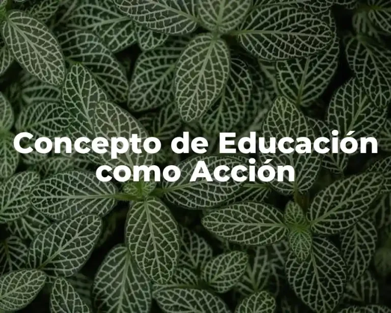 Concepto de Educación como Acción
