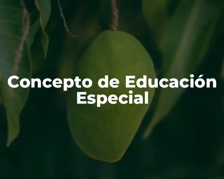 Concepto de Educación Especial