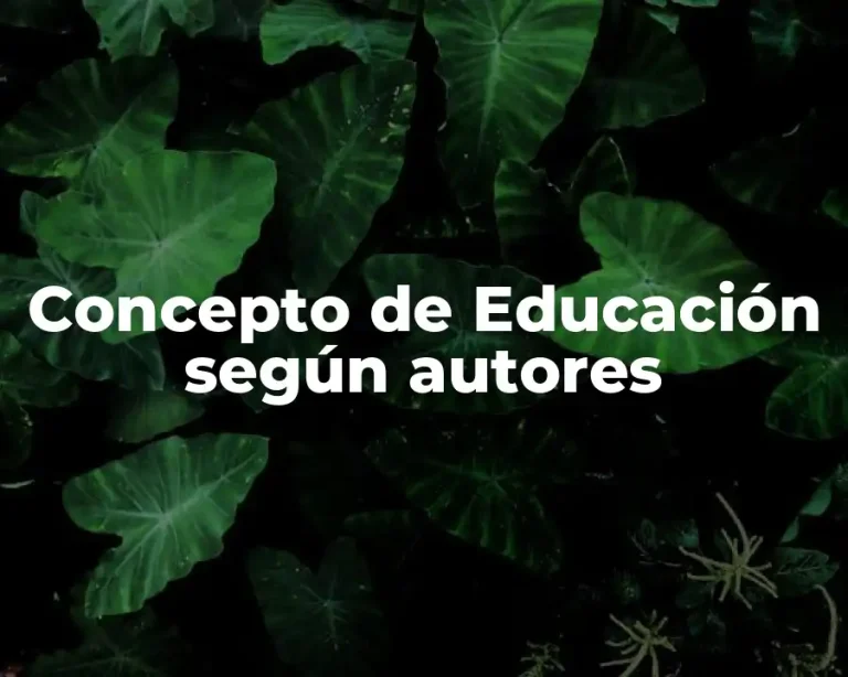 Concepto de Educación según autores