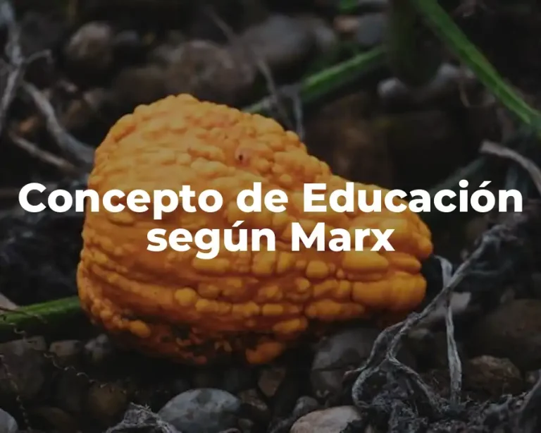 Concepto de Educación según Marx