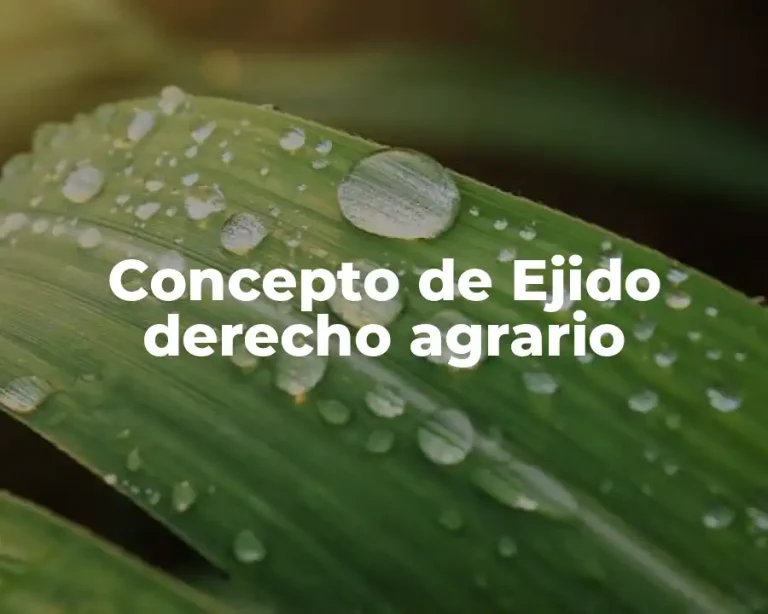 Concepto de Ejido derecho agrario