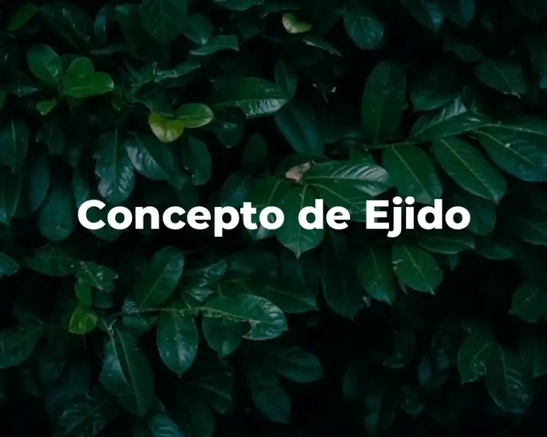 Concepto de Ejido