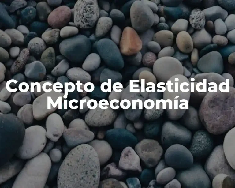 Concepto de Elasticidad Microeconomía