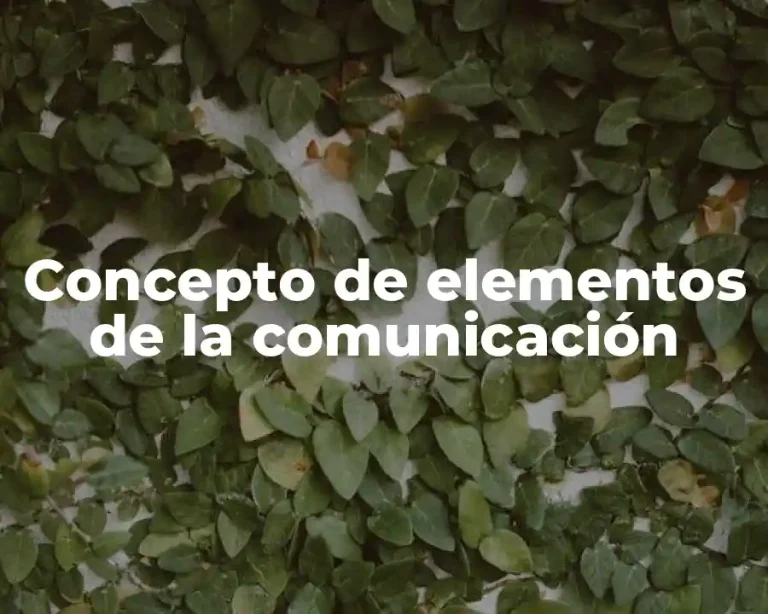 Concepto de elementos de la comunicación