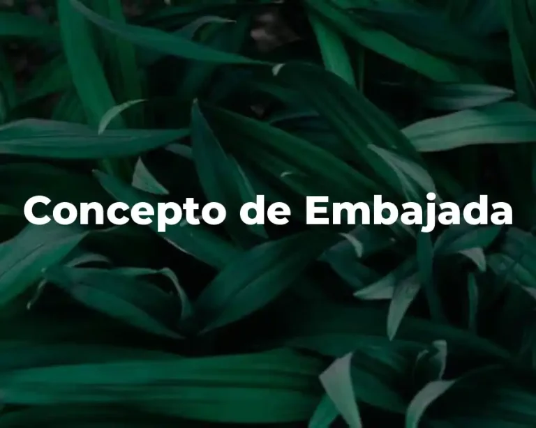 Concepto de Embajada