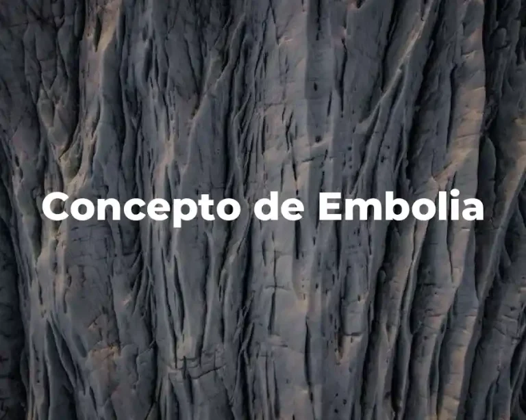 Concepto de Embolia