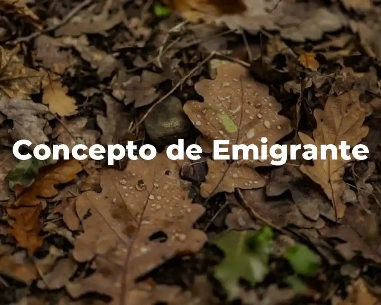 Concepto de Emigrante