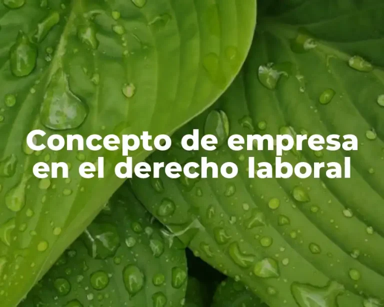Concepto de empresa en el derecho laboral