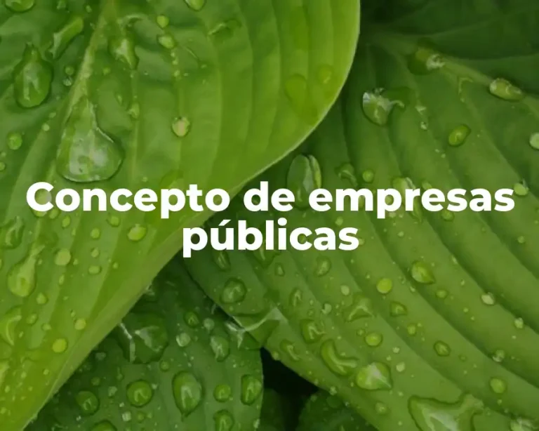 Concepto de empresas públicas