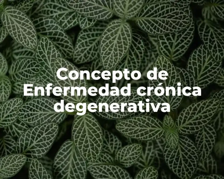 Concepto de Enfermedad crónica degenerativa