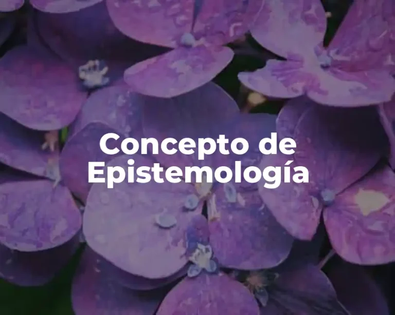 Concepto de Epistemología