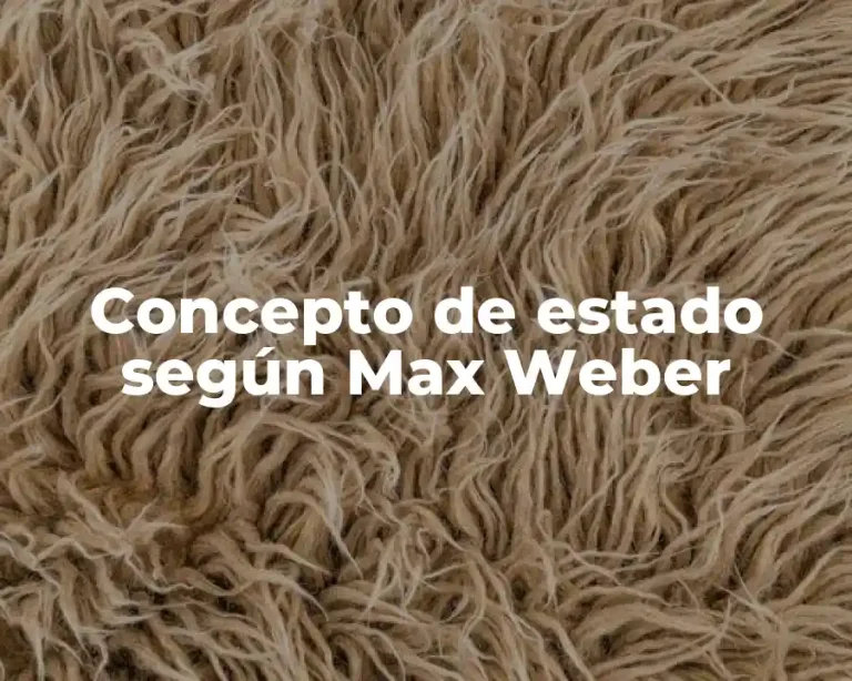Concepto de estado según Max Weber