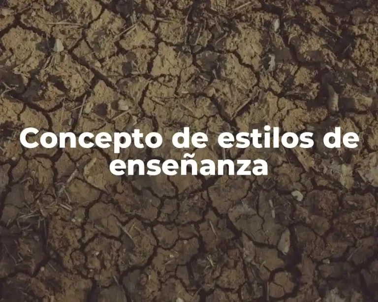 Concepto de estilos de enseñanza