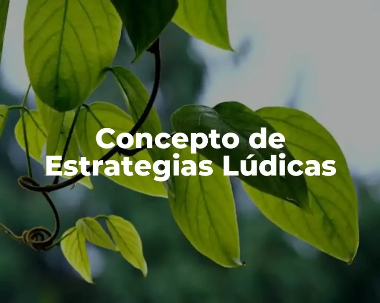 Concepto de Estrategias Lúdicas