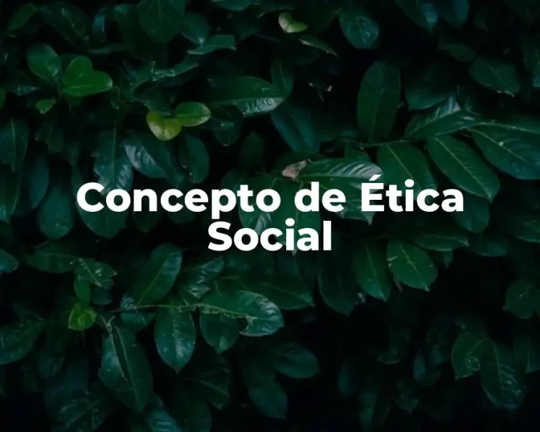 Concepto de Ética Social