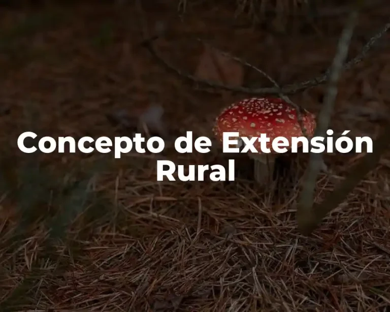 Concepto de Extensión Rural