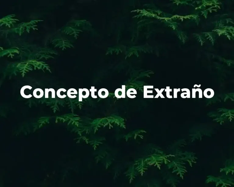 Concepto de Extraño