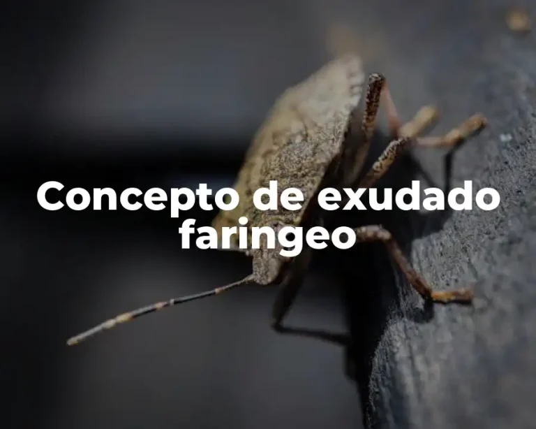 Concepto de exudado faringeo