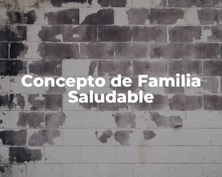 Concepto de Familia Saludable