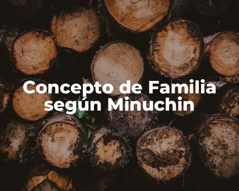 Concepto de Familia según Minuchin