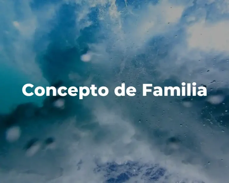 Concepto de Familia