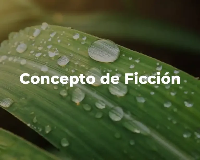 Concepto de Ficción