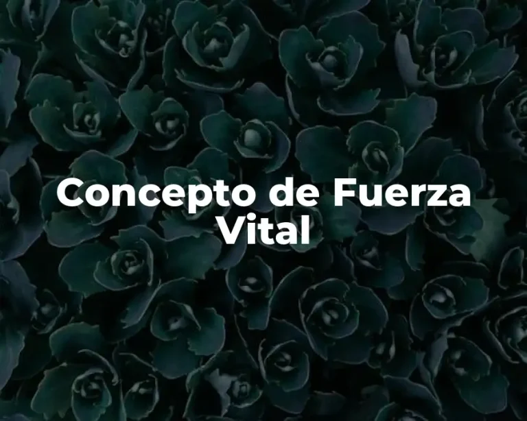 Concepto de Fuerza Vital