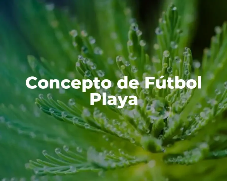Concepto de Fútbol Playa