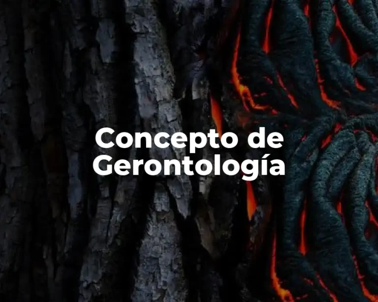 Concepto de Gerontología