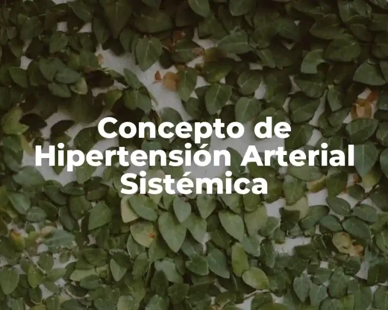 Concepto de Hipertensión Arterial Sistémica