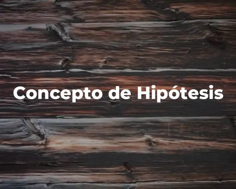 Concepto de Hipótesis