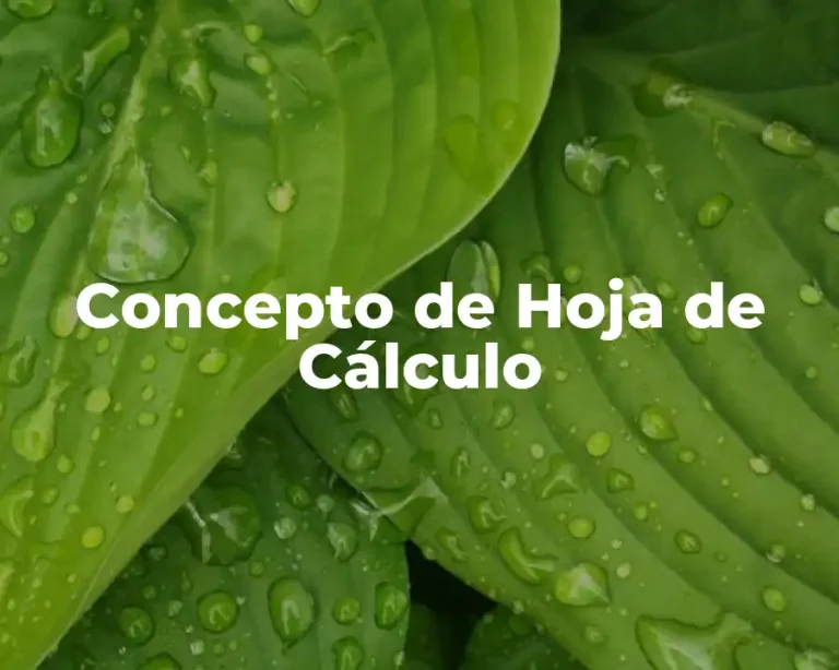 Concepto de Hoja de Cálculo