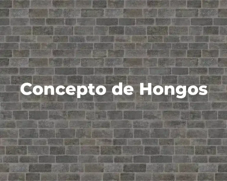 Concepto de Hongos